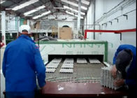 macchina per fabbricare le scatole di cartone dell'uovo 1400Pcs/H/vassoio di carta automatici della frutta modellato per spappolare macchina