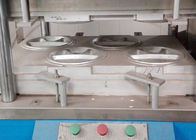 macchina di fabbricazione modellata cartapesta Super-fine della macchina del piatto/piatto 2000pcs/h