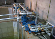 Attrezzatura automatica 30 ~ 300 kg/h del modanatura della polpa del modanatura dell'olio conduzione/di elettricità di capacità