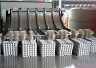 Simens ha applicato il vassoio di carta rotatorio automatico dell'uovo che fa la macchina con alta efficienza