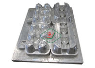 La muffa della polpa dei sedili dell'alluminio 12/ha modellato i cartoni dell'uovo della polpa con il processo di CNC