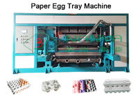 Vassoio di carta elettrico dell'uovo che fa linea di produzione a macchina/industriale del vassoio dell'uovo