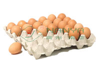linea di produzione del vassoio dell'uovo 100kw