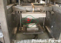 macchina di formatura della cartapesta di 300*300mm con la formazione della pressa a caldo
