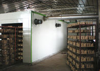 Scavi una galleria il tipo la linea di produzione di secchezza della macchina di formatura della cartapesta, 220V - 440V