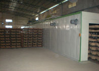 Scavi una galleria il tipo la linea di produzione di secchezza della macchina di formatura della cartapesta, 220V - 440V