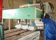 Macchina residua 2000Pcs/H, macchina professionale del vassoio della cartapesta di fabbricazione del vassoio dell'uovo