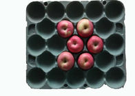 Vassoio della frutta dei prodotti modellato cartapesta rettangolare degradabile con 20 cavità