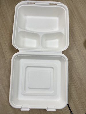 Macchina di formatura concimabile della cartapesta/linea manuale del vassoio dell'alimento delle stoviglie