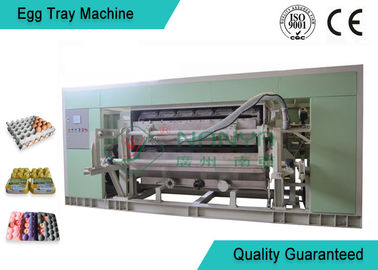 Vassoio di Tray Making Machine For Egg/cartone dell'uovo/semina modellati completamente automatici della linea di produzione della tazza