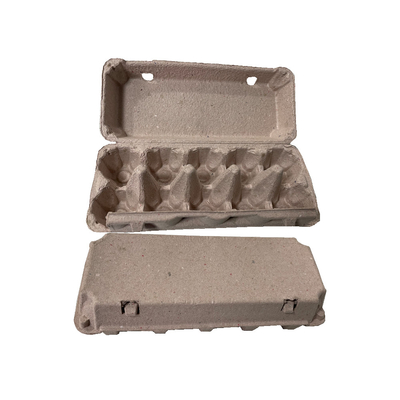la macchina per fabbricare le scatole di cartone ricambiante Interamente automatica del vassoio/dell'uovo/6 mette a strati la linea di secchezza 2400pcs/h
