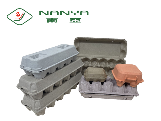 Macchina di carta del vassoio riciclata automazione dell'uovo per produzione del supporto di tazza
