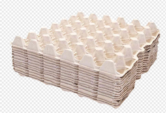 Macchina automatica per la fabbricazione di vassoi di carta per cartoni di uova 1800pcs / h