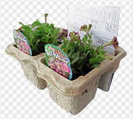 Macchina automatica del cartone dell'uovo della polpa per la linea di produzione del vassoio del vassoio dell'uovo/del supporto/frutta di tazza