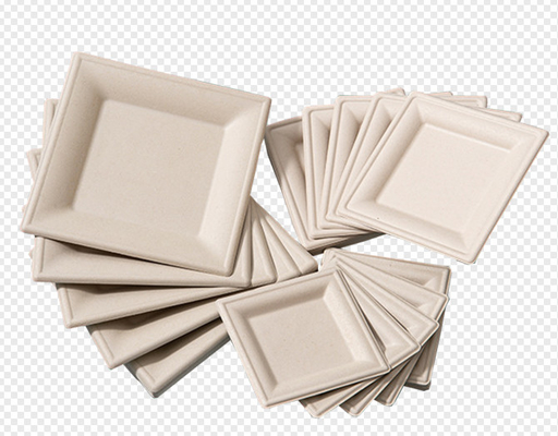 Attrezzatura vergine automatica del modanatura della polpa per la linea di produzione della tazza di carta/stoviglie
