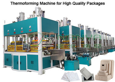 Incarti la formazione della polpa, l'essiccamento e la pressa a caldo a macchina modellati che modellano 150kg/h