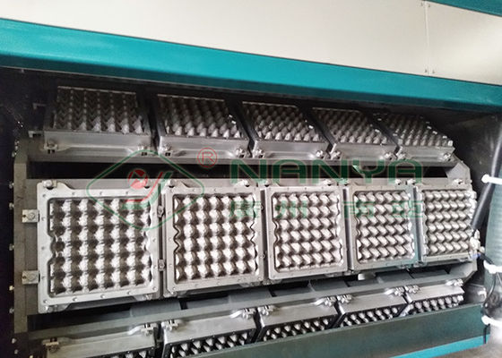 Macchina completamente automatica per vassoi per uova in carta riciclata