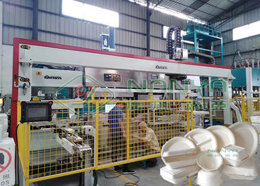 Macchina di fabbricazione di piatto eliminabile biodegradabile automatica della cartapesta della macchina di formatura della cartapesta dei semi