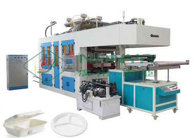 Stoviglie eliminabili del contenitore di alimento della pasta di cellulosa che fanno macchina