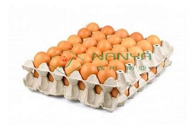 Vassoio dell'uovo della carta straccia/linea di produzione del vassoio del cartone/frutta dell'uovo 6000Pcs/ora