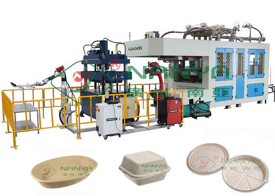 attrezzatura biodegradabile 40 Ton Pressure delle stoviglie del modanatura della polpa 300Kg/H