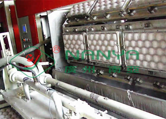 vassoio delle uova dei vassoi della frutta 250kw che fa aspirazione a macchina 600m2 di vuoto
