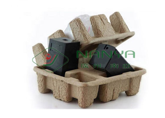 vassoio della cartapesta dello spreco del risparmio energetico 400Pcs/H a macchina/carta straccia che ricicla macchina