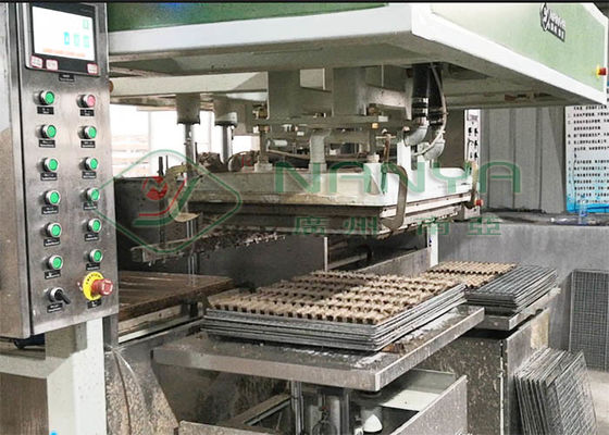 TV che imballa 80kg/h polpa elettronica Tray Machine