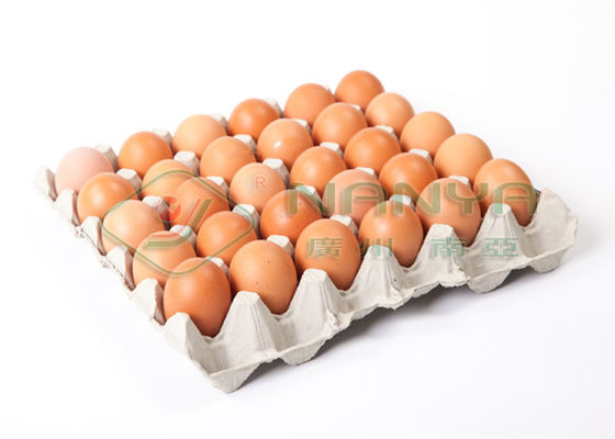 Egg il vassoio/tazza del supporto della polpa del modanatura rotatorio di carta eliminabile dell'attrezzatura con CE