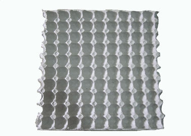 Macchina di stampaggio della polpa per cartone / vassoio di uova di quaglia stampato con 90 cavità di carta bianca monouso