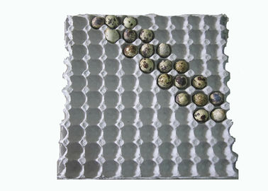 Macchina di stampaggio della polpa per cartone / vassoio di uova di quaglia stampato con 90 cavità di carta bianca monouso