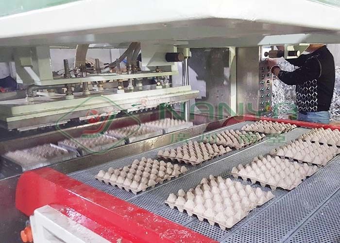 Macchina di stampaggio della polpa per cartone / vassoio di uova di quaglia stampato con 90 cavità di carta bianca monouso