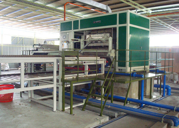 Macchina di modellatura del vassoio dell'uovo della polpa automatica con le linee di secchezza 3000pcs di 6 strati all'ora
