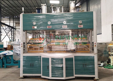 Macchina di formatura della cartapesta della macchina/frutta di Thermoforming della polpa di elettronica