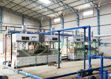 Semi amichevoli della macchina di fabbricazione di piatto di carta di Eco muffa automatica Thermoforming della polpa