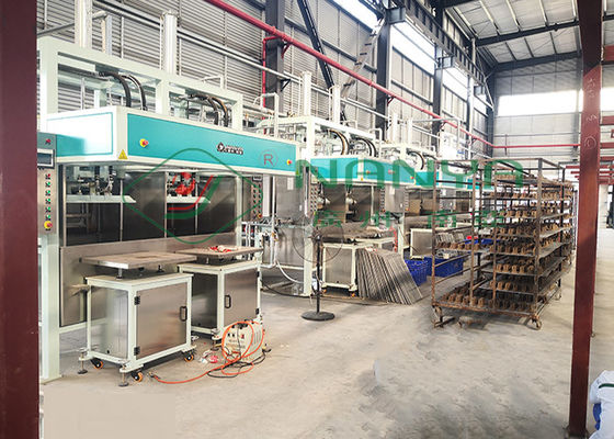 Spappoli il pacchetto di modellatura Tray Making Machine industriale della prova di scossa