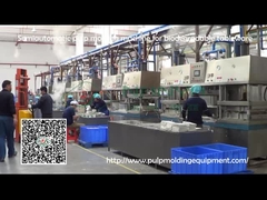 Stoviglie automatiche dei semi che fanno macchina