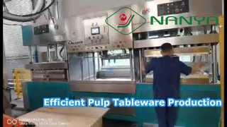 Produzione manuale di lastre di pasta di cellulosa/Produzione semiautomatica di stoviglie in pasta di cellulosa