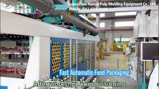 YC042 confezionatrice alimentare completamente automatica