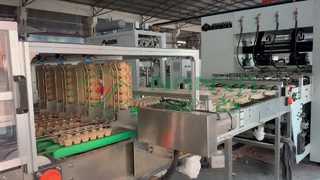 Macchina per la produzione di cartone per uova completamente automatica / Produzione di massa Vassoio per uova / Macchina per la produzione di cartone