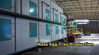 Macchina completamente automatica per la produzione di vassoi per uova/produzione di massa Vassoio per uova/macchina per la produzione di cartoni