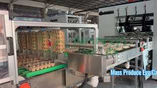 Macchina per la produzione di cartone per uova completamente automatica / Produzione di massa Vassoio per uova / Macchina per la produzione di cartone