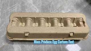 Macchina completamente automatica per lo stampaggio di polpa per cartone di uova / macchina per cartone di uova / cartone di polpa di uova